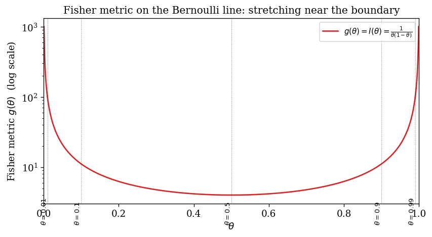 Fisher metric on the Bernoulli line